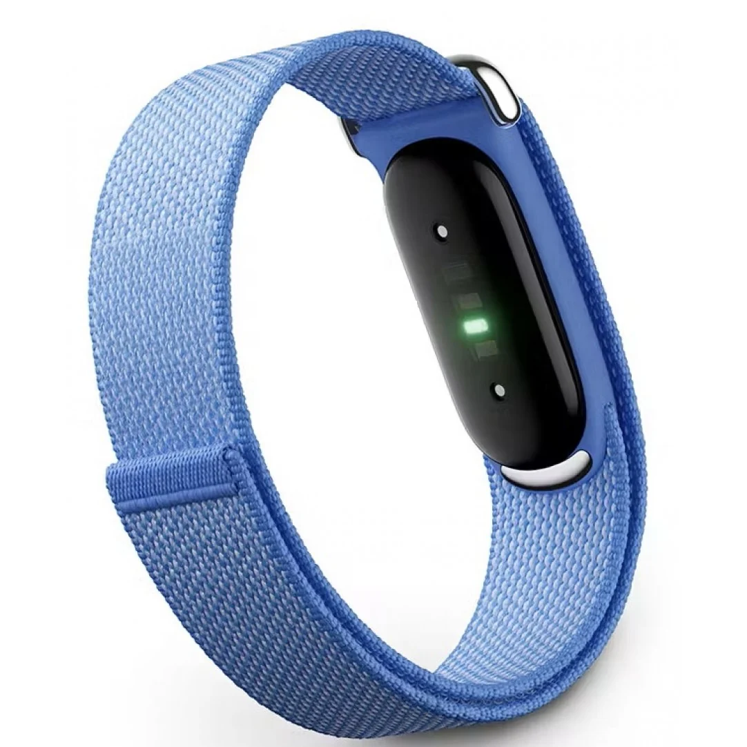Google Fitbit Air